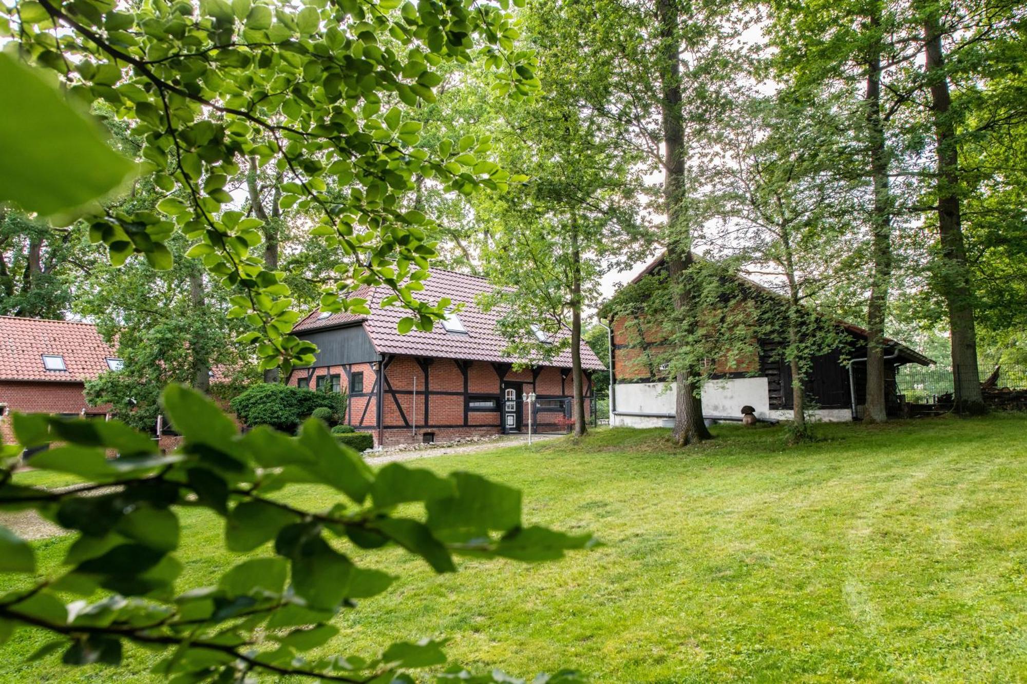 Traumhaftes Anwesen In Der Lueneburger Heide Appartement Soltau Buitenkant foto